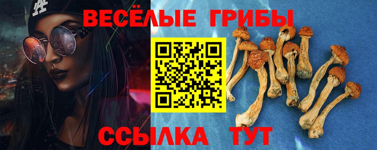 Галлюциногенные грибы Cubensis Зерноград