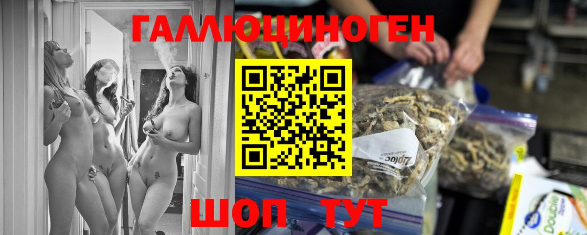 Псилоцибиновые грибы мицелий  Галлюциногенные грибы MAGIC MUSHROOMS  купить наркотики цена  Вход с VPN  Зерноград 